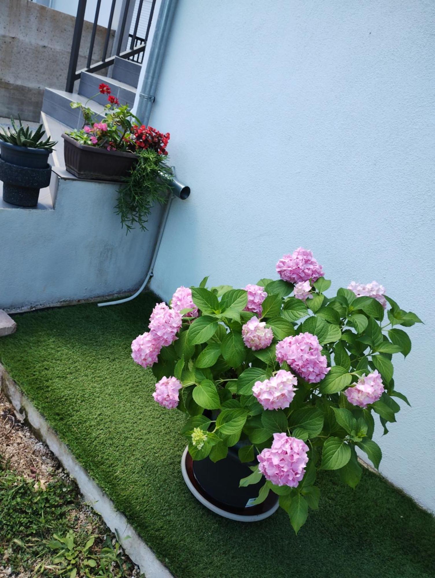 Apartman Enia Murvica  Bilik gambar